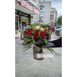 KIRMIZI BEYAZ 20 GÜL